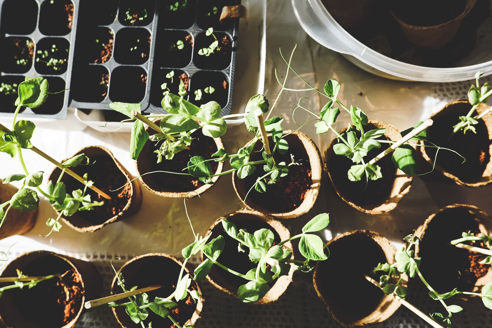 Gardens & outdoors: Outdoor areas for fresh air, gardening projects and barbecues.